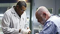 Click to watch 'Deep Fried & Minty Fresh...' (popup) CSI